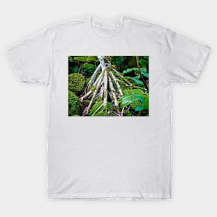 Tree Roots and Moss T-Shirt